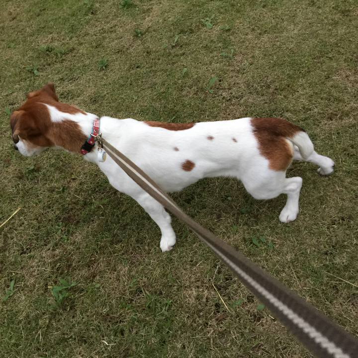 55a63029 c64f 48cf 9407 3a4da3053906