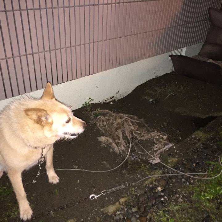 55a6bd07 279e 4030 8fbc b83fbbd02c33