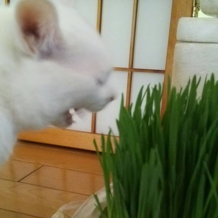 55a6d635 ac81 4ca5 b61b 891825961e1e