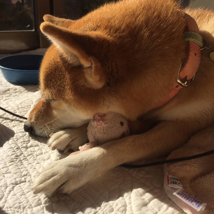 55a76dc0 b22b 44a6 809c 475b9780c0a8