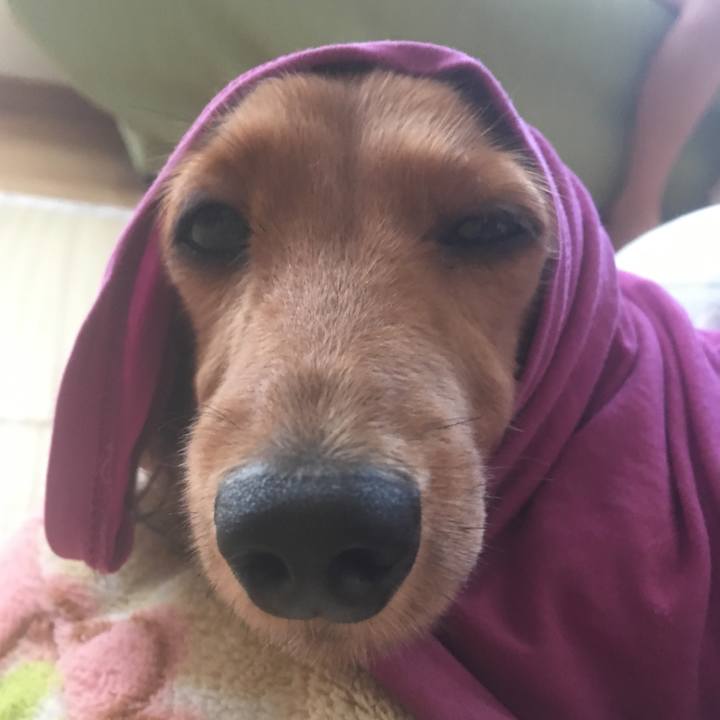 55a78409 785b 4d83 be58 f6562c6d235c