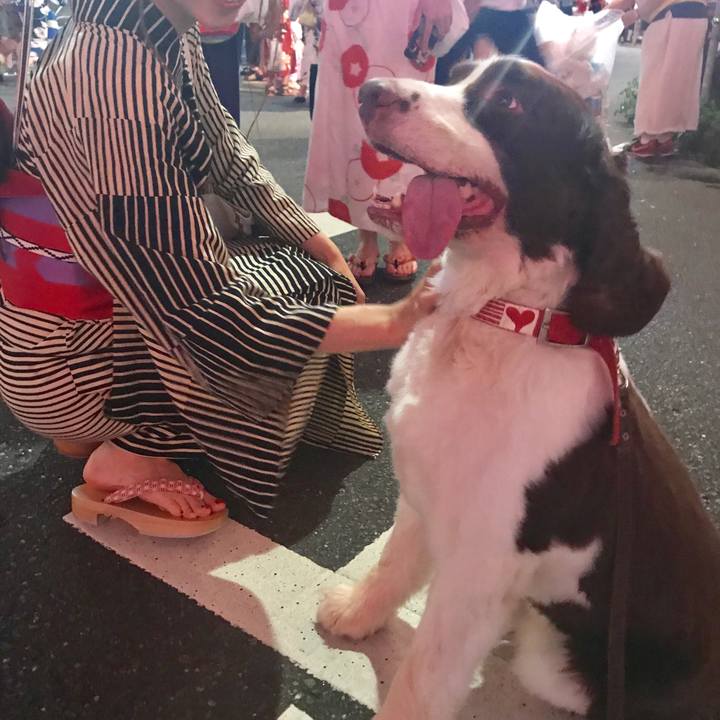 55a7878a 6439 4d7b bc86 bf6258edb1e7