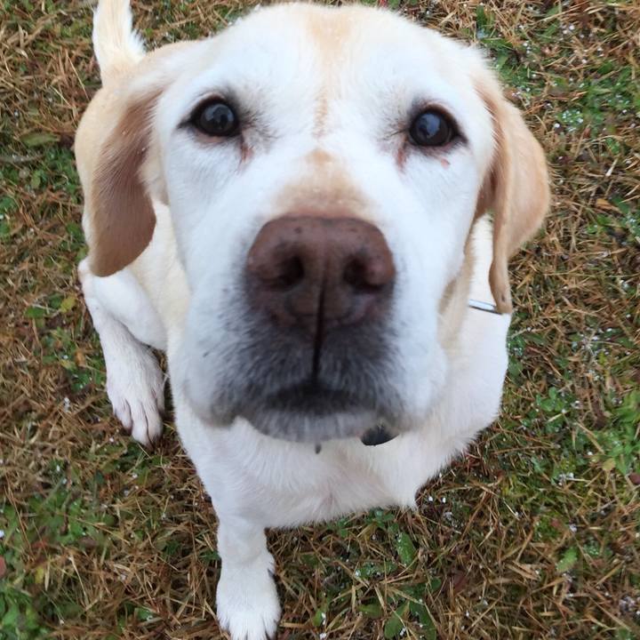 55a7cb4d 78b9 4888 8886 9ce951a6869b