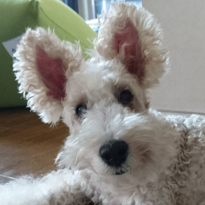 55a7e656 c4aa 43b0 9815 46952a9fd9a8