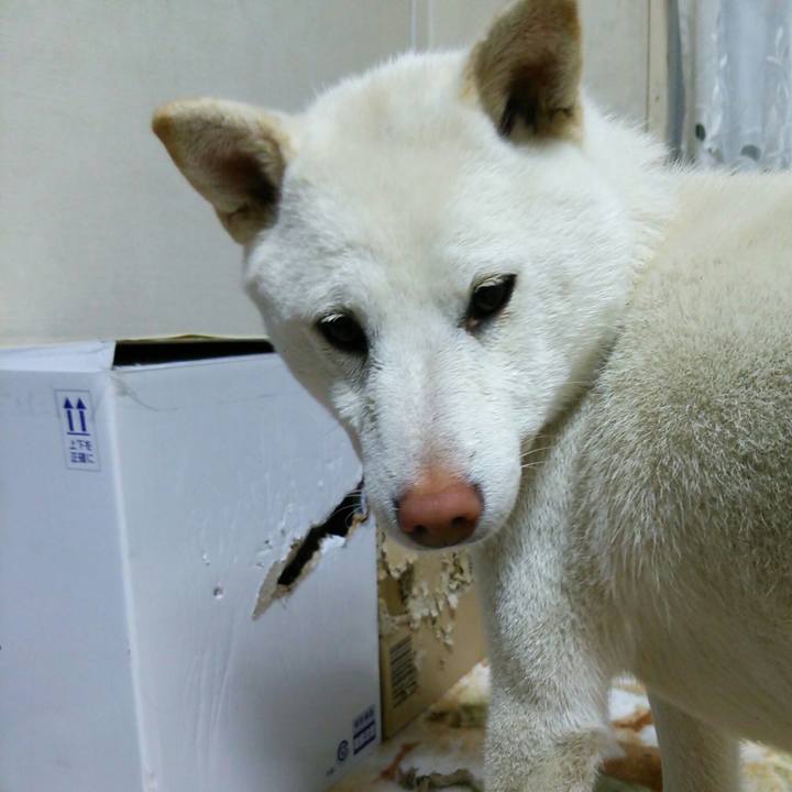 55a850e9 362a 416a 9f08 e693791bcb6b