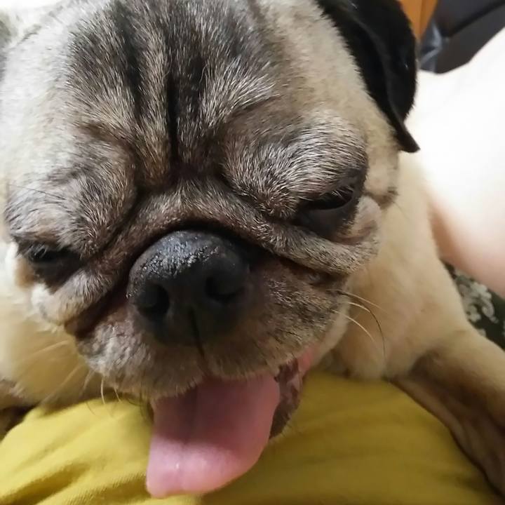 55a9004e e30e 4bd1 8abf 3eb293eefcf2