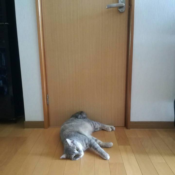 55a91945 4982 4164 923c 61310e8d0a9b