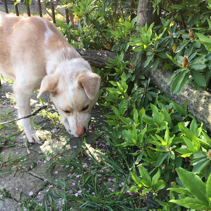 55a93779 dbcb 4dea 985a a898e4f34694