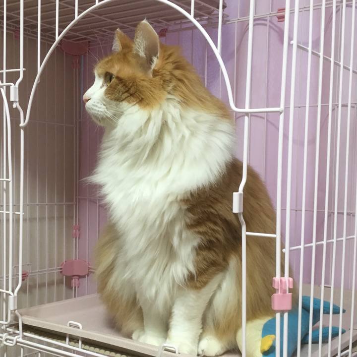 55a97c77 8817 4b53 963b e8007084ed1b