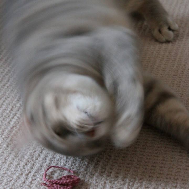 55aa884f bcfa 476b 9342 242bf557fce9