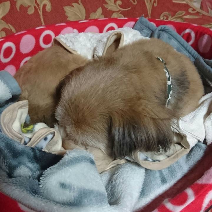 55ab6189 d2c8 4840 9959 59eddbce6ba9