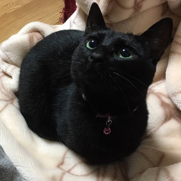 55abc729 005d 497a b3e9 31e30d5825ec