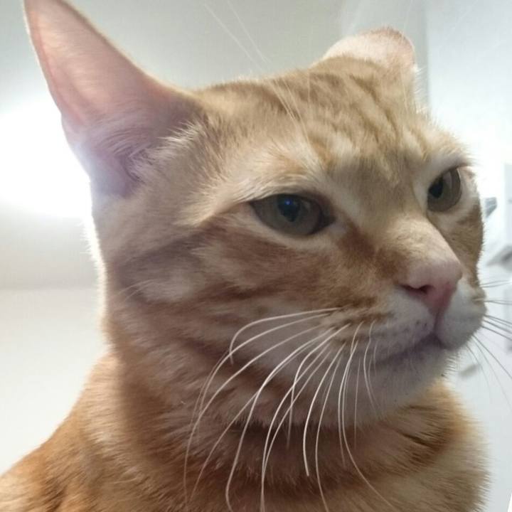 55ac395e 43ad 47ef bbe8 3febd7a49cd0