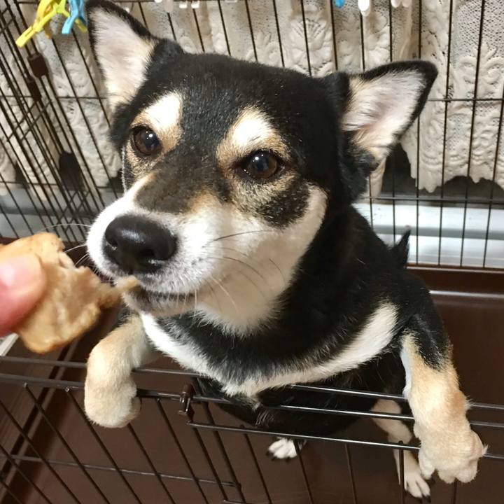 55acfd14 1bec 4155 8755 92e4acb7db06