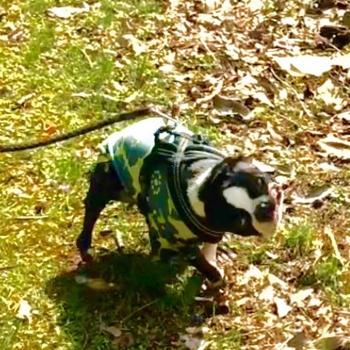 55ad2e88 e1e8 4762 91dd 583277254aaa