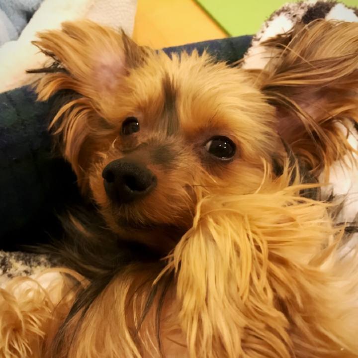 55ad2f1f 7e16 4559 82a3 b4d92b2cb164