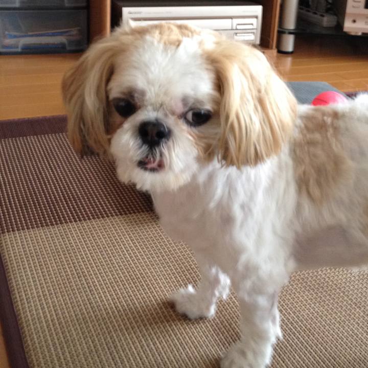 55ae1f6a c676 4e80 a44d 7476f5ace9e4