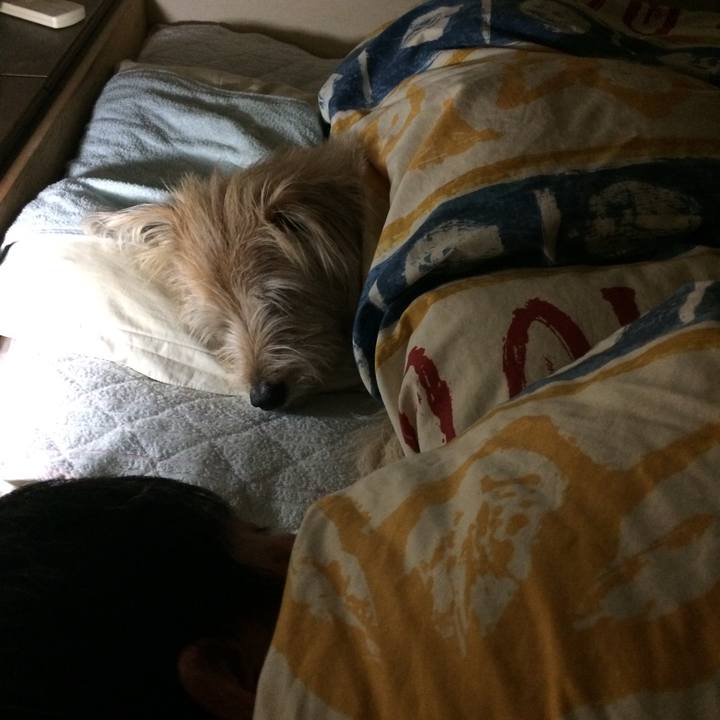 55af021a 9806 44c7 9271 a51809ba525d