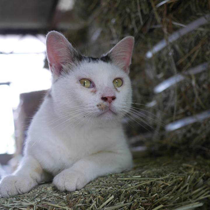 55af8cb9 941f 4597 8bec 9880b8cfbe12