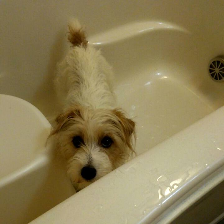 55b04a3d caba 4e1a b1cd ec0d40e72c18