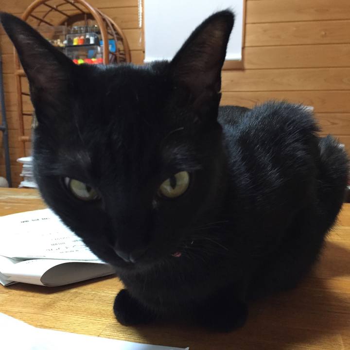 55b137bc 2d5f 449b 8ed4 b9f92c16b1c5