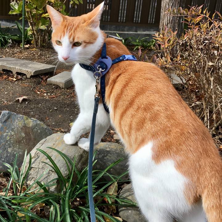 55b14248 460a 480d 8c4f cd309a71518b