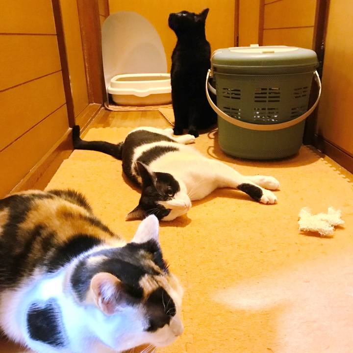 55b1b428 629b 4b3b b2d5 1b1b5df2c72f