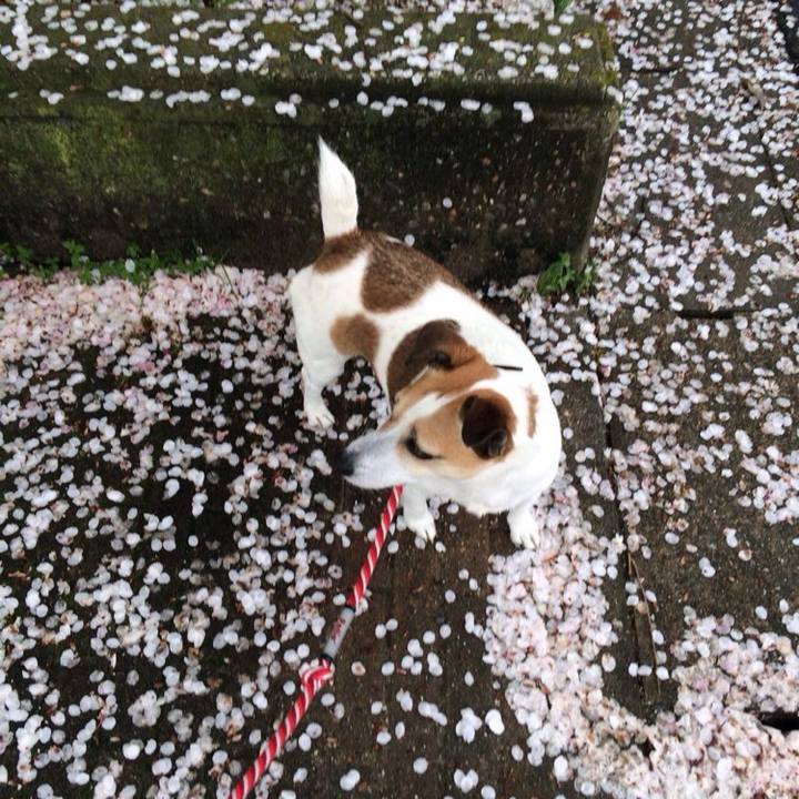 55b1e1d1 ea56 4c82 9726 51bbdbf090a8