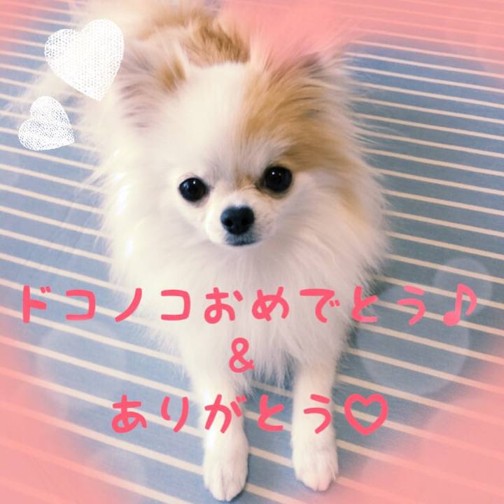 55b27955 2b3f 4be9 8ebd 663584dfba21