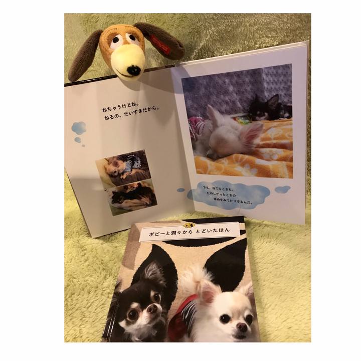 55b29215 3b62 4ea1 9f29 e2eb9cecf77a