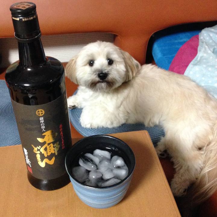 55b2e31c d948 4baf 99e6 de58c4339a7a