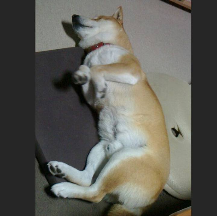 55b4496a 01f6 41c1 8310 c480601348df