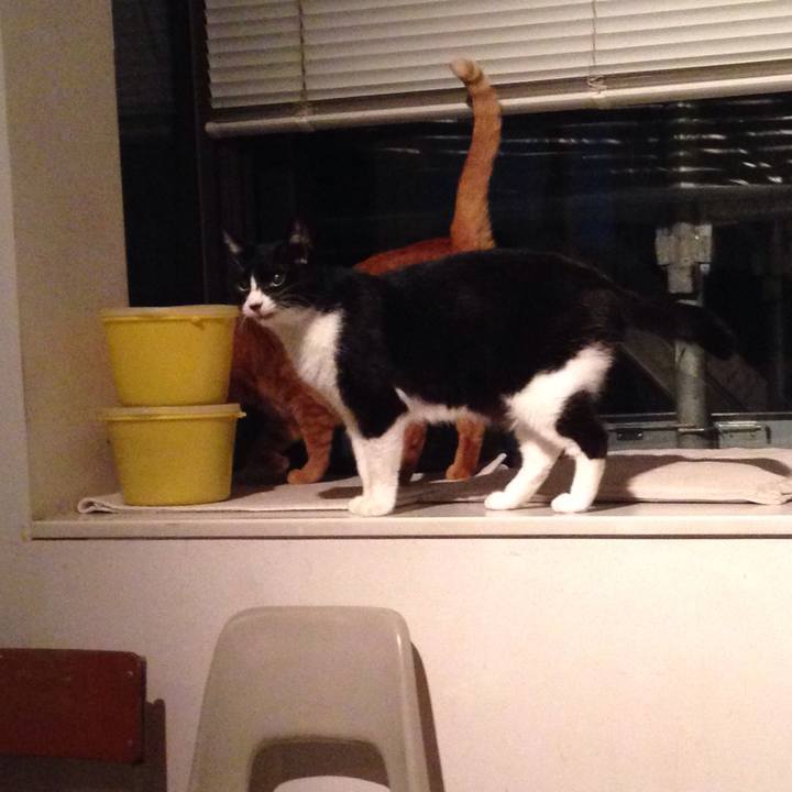 55b5dc94 217f 4522 afd8 6186023d9bb8