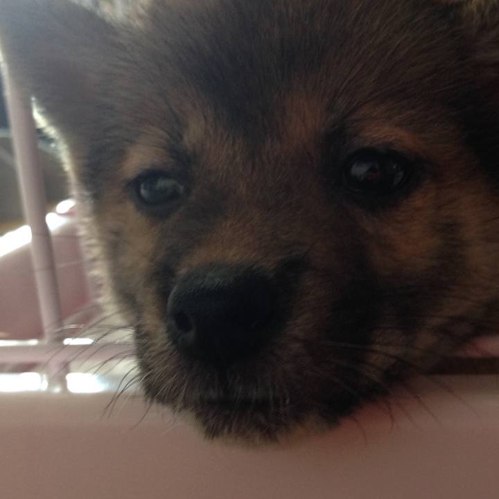 55b7b526 8156 4529 8fee 0a9e510f484d