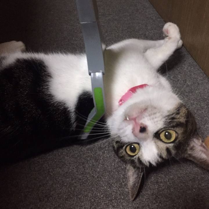 55b7fc9f 0a31 40aa a219 091af9d60bc5