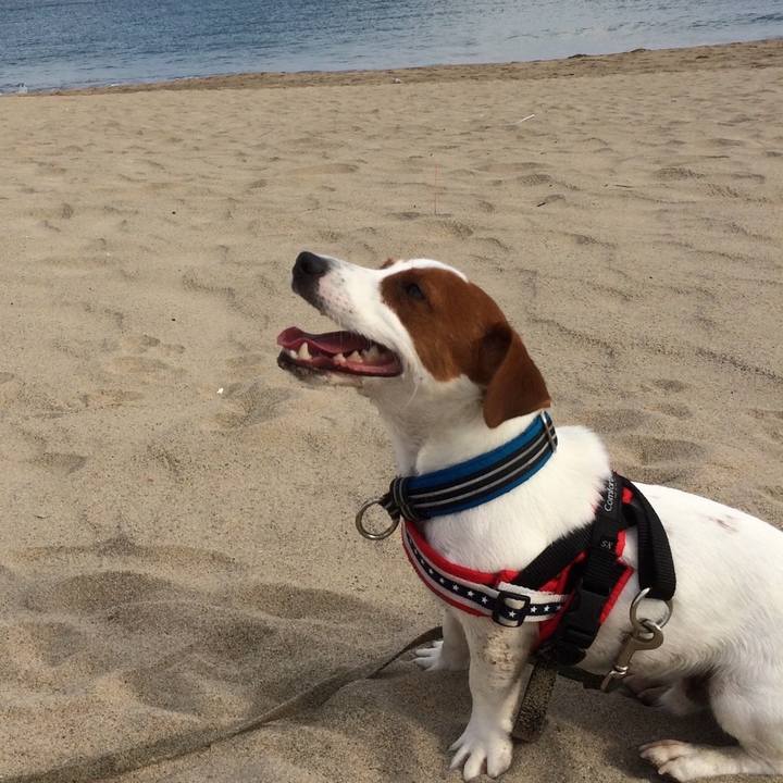 55b80a26 baff 44b5 8e65 7fd8bd53b5a7