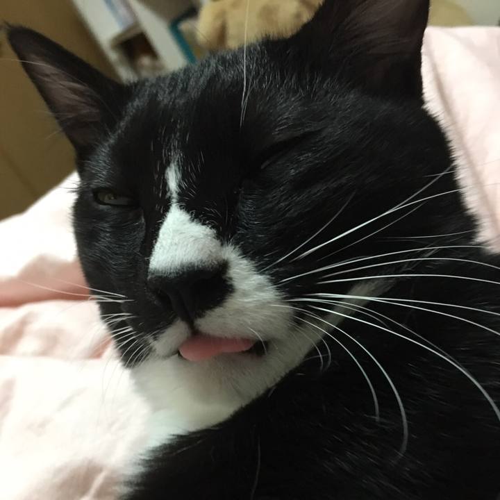 55b81ee0 a22d 43b4 8014 e296506a6aa5