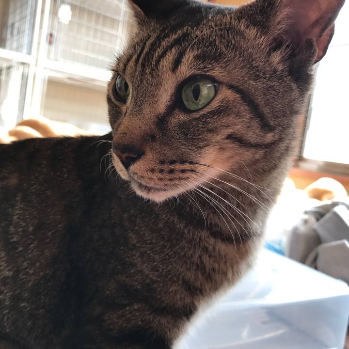 55b8fab6 0e48 4bc3 bd5a 42a2276ac1b2