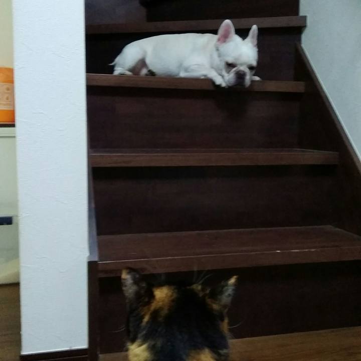 55b91c17 f0ee 427a 8ab0 47a025a2e9f0