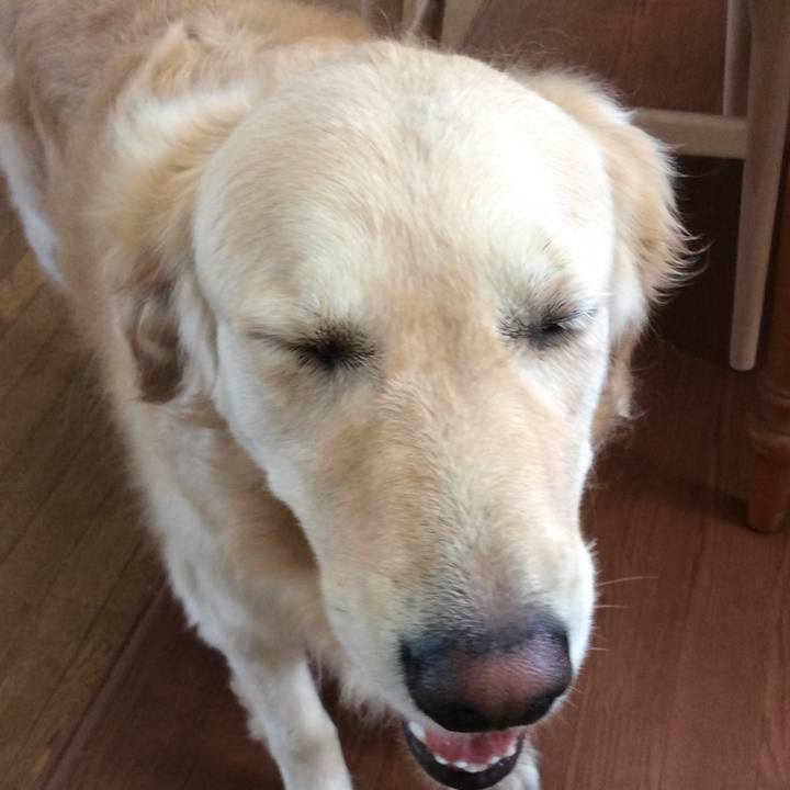 55b968bb 2016 433e bb77 ca4262292545