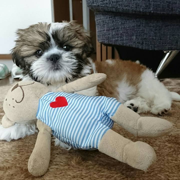 55b9799c b8dc 4659 9f6f 0b1e1907d9fb