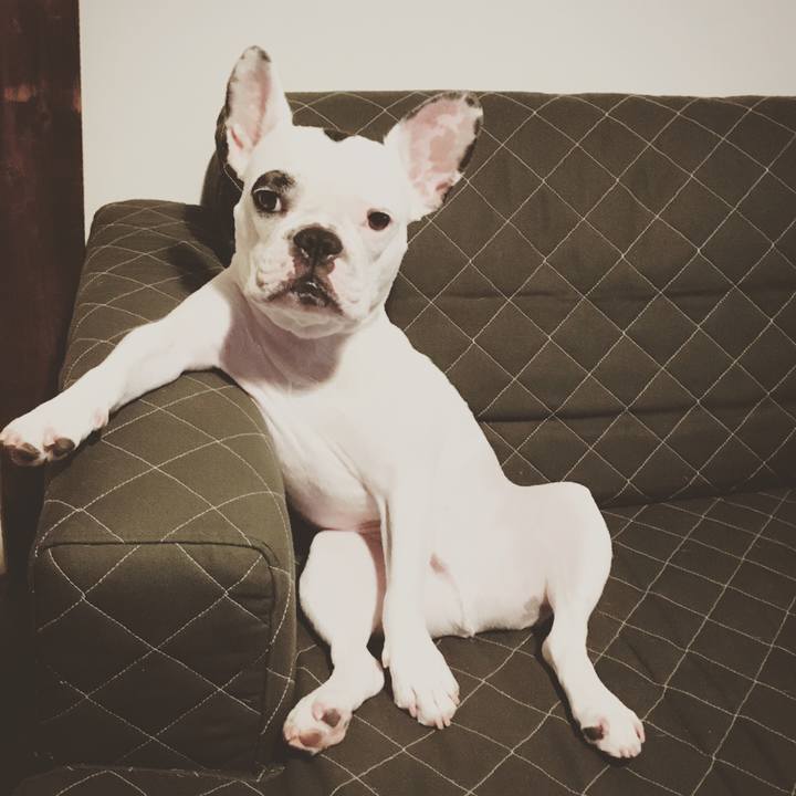 55b99fe7 23c8 4633 a74b af1ab58391c4