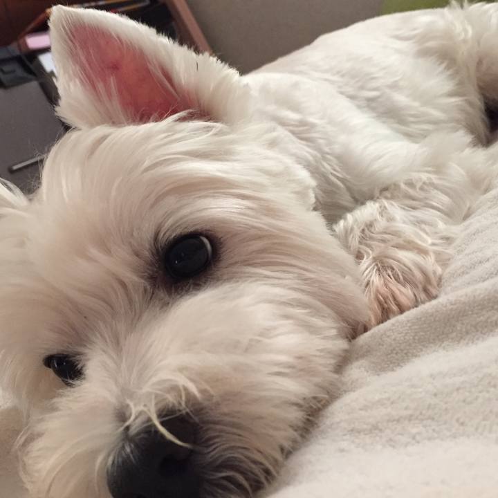 55ba09fb ae4d 42ab 9685 6c33d5626fc3