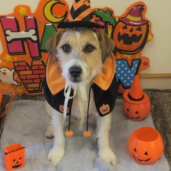 55bb3d69 e0ea 4db4 b5e8 1fa1869fe661