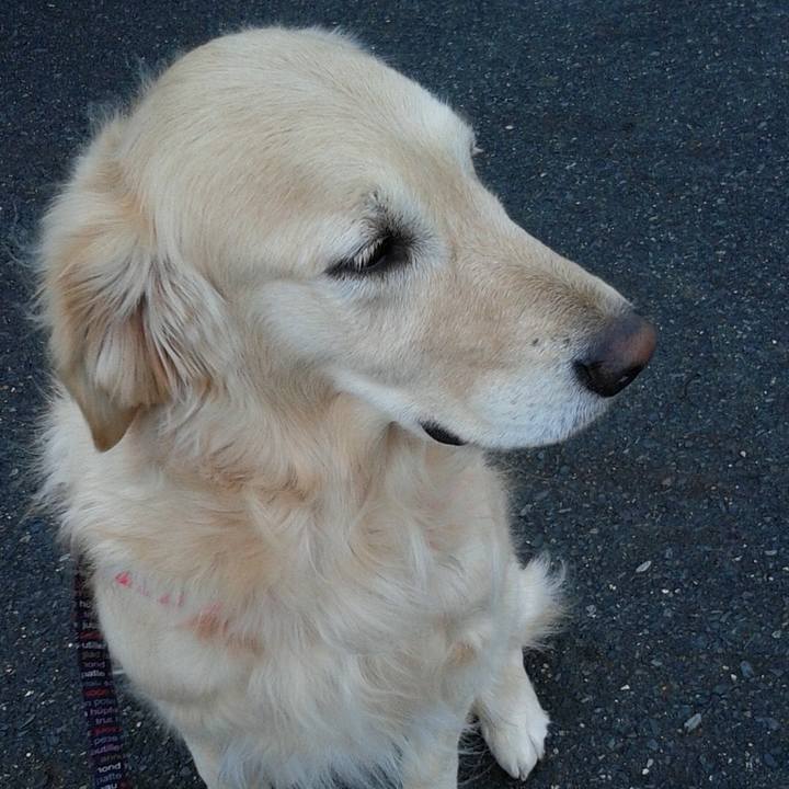 55bb45b5 8797 4937 a802 69f361bb5bbb