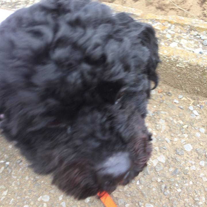 55bb7e26 aa61 4d6a b997 5207b7578ec4