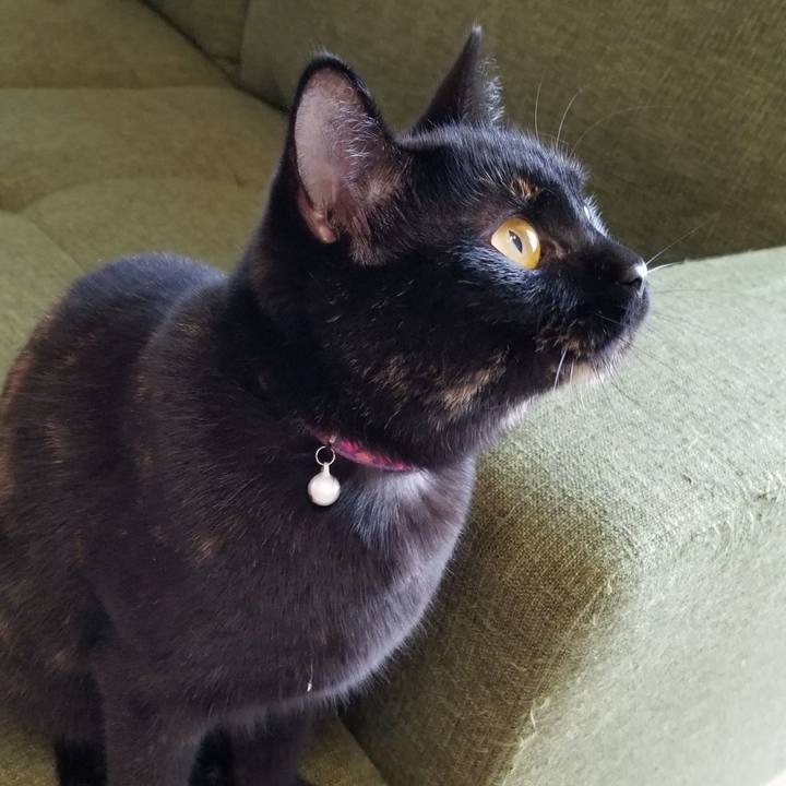 55bc19ce 0526 45b2 a870 42d55ec87276