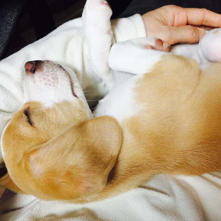 55bd43fa 5755 4096 8e56 047d4b5dc6f7