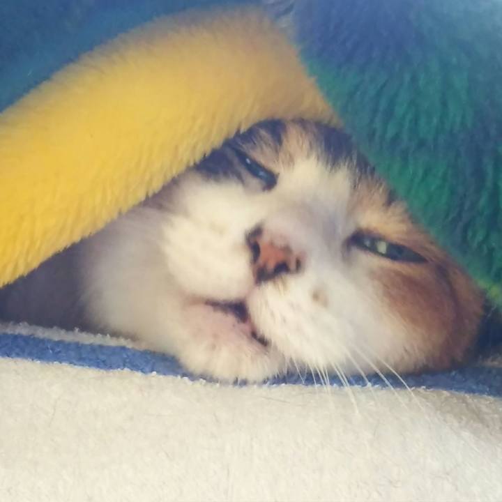 55bd5d62 969b 4fe4 a071 aac8962f23d1