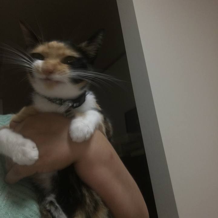 55bd671d 2822 4deb a384 427bf98761f2